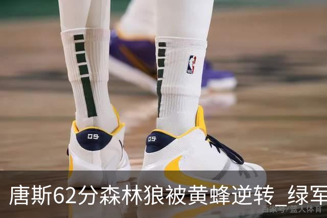 唐斯62分森林狼被黄蜂逆转 绿军力克独行侠